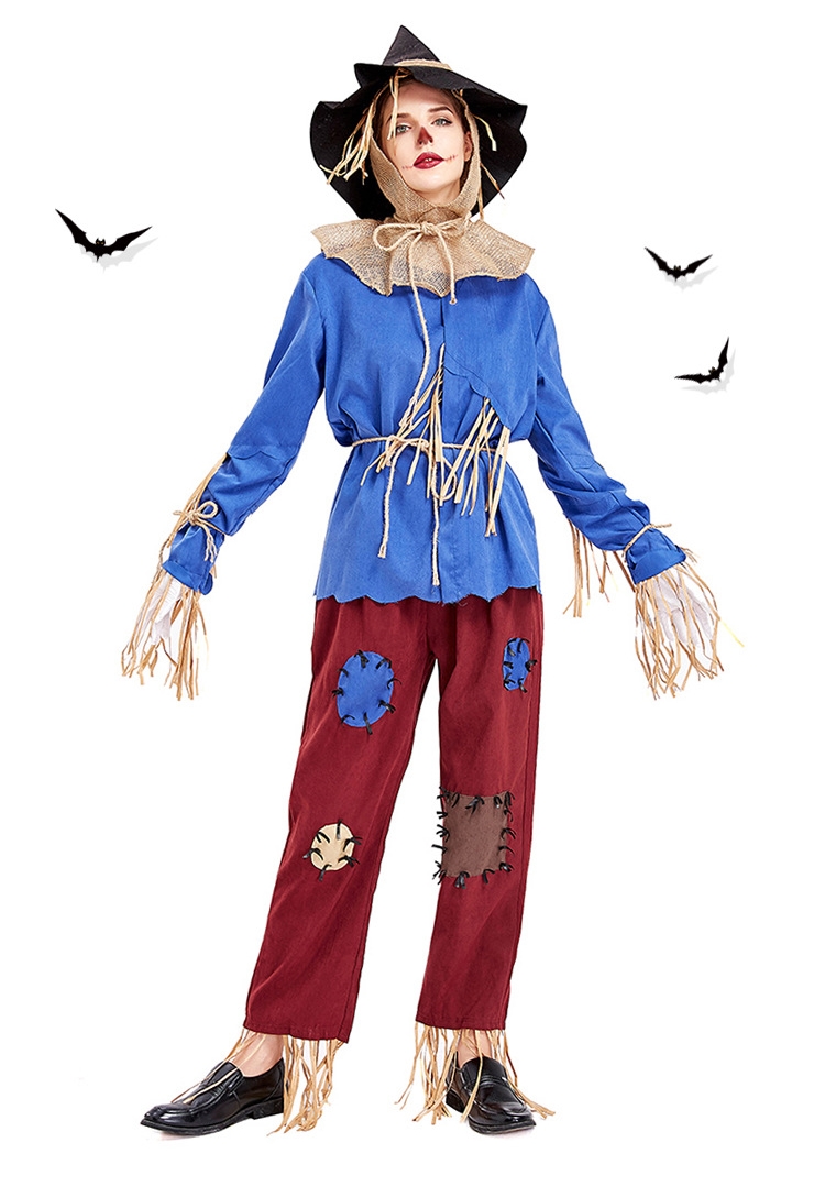 ٻҾ4 ͧԹ : ++++駪˭ԧ شع  scarecrow costume